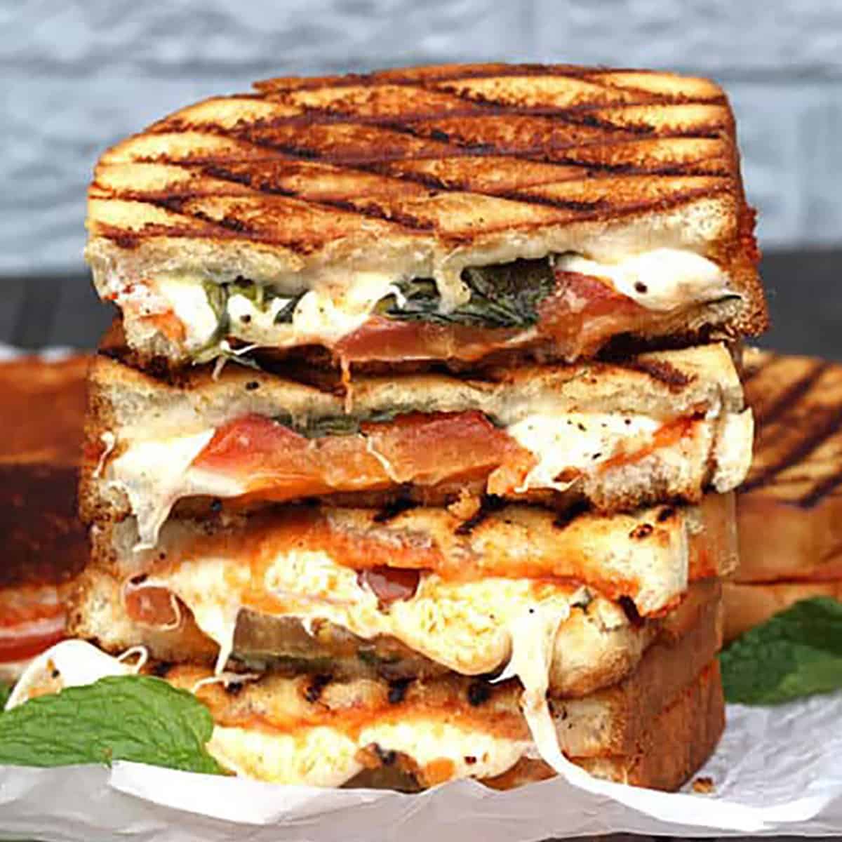 Grilled Veg Cheese Sandwich